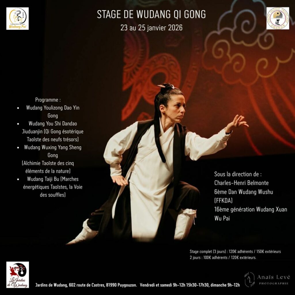 qi gong arts martiaux taiji quan wudang