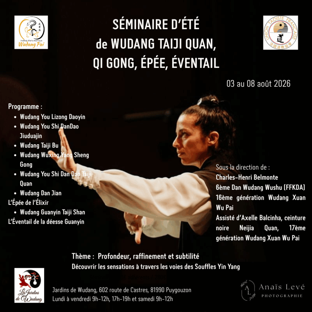 séminaire institut wudang pai taiji quan qi gong épée éventail taichi quan