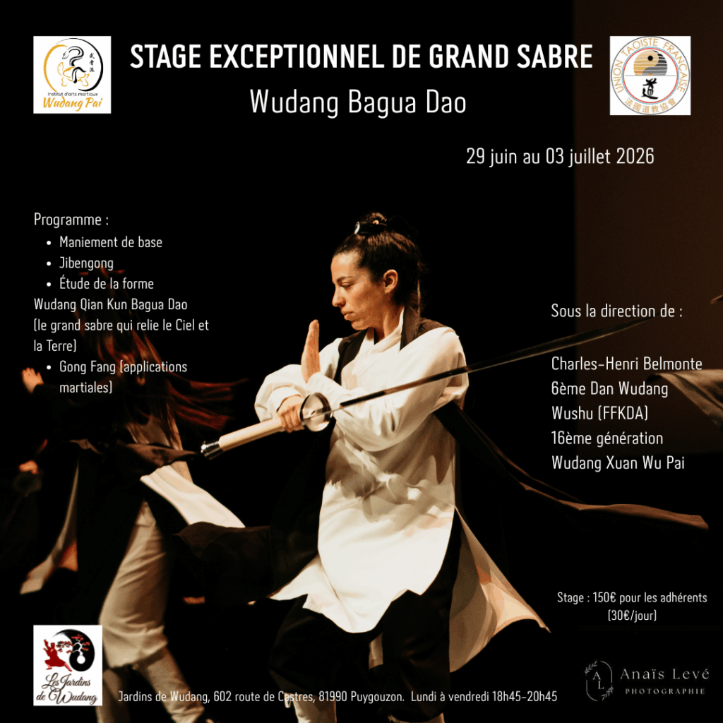 stage grand sabre bagua dao arts martiaux albi puygouzon institut wudang pai