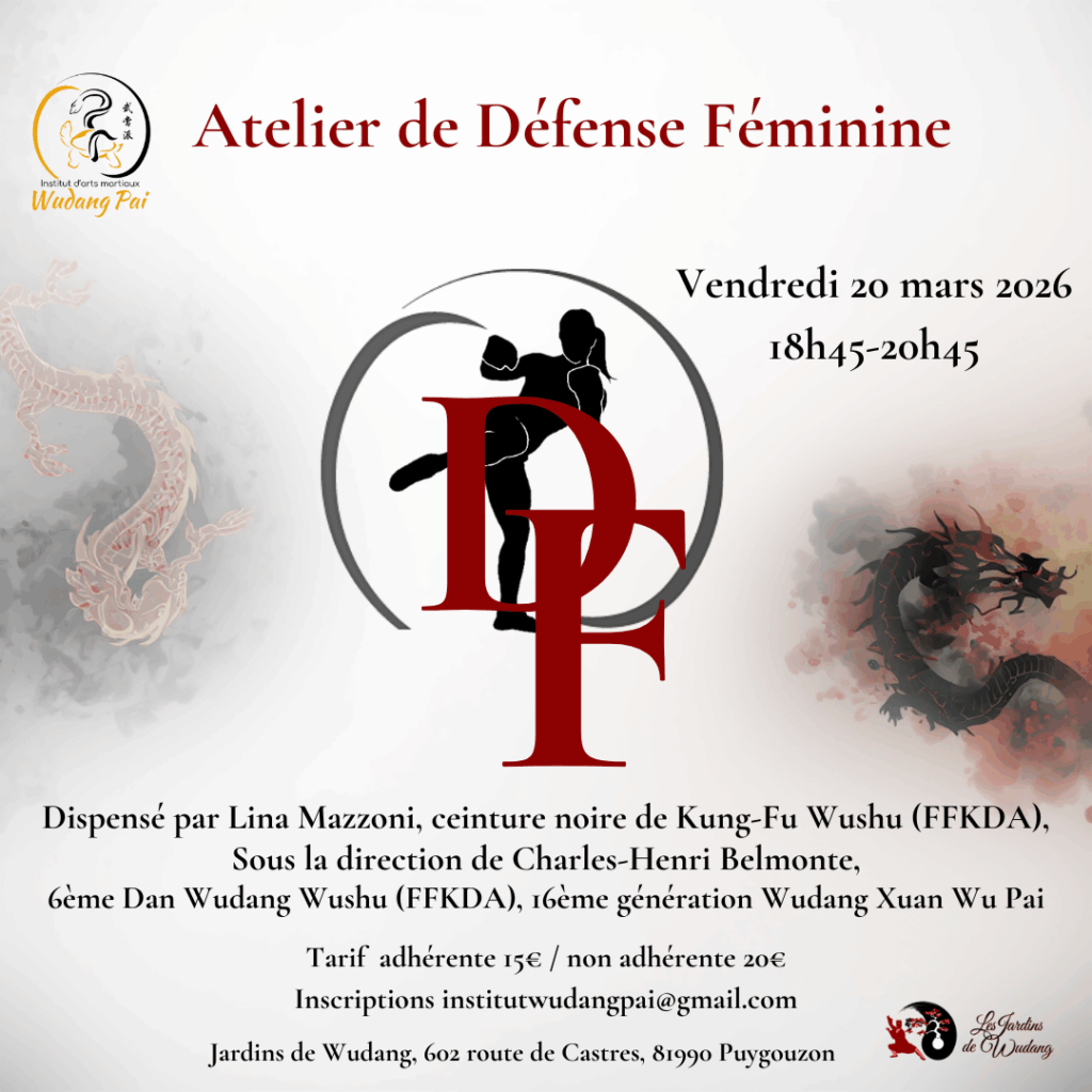 DF défense féminine autodéfense self défense kungfu wushu arts martiaux